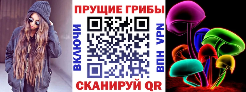 Галлюциногенные грибы Psilocybe  Петровск-Забайкальский 