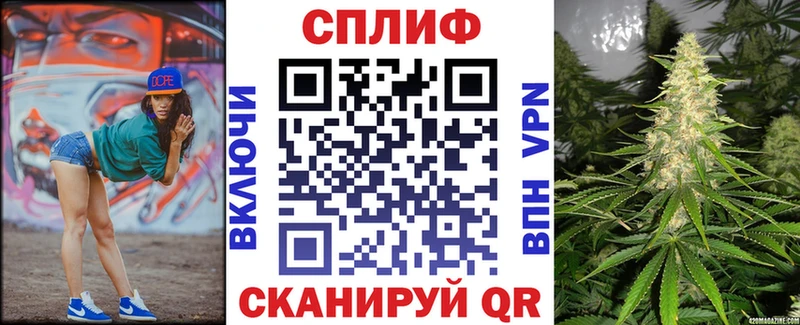 Каннабис план купить наркотик Петровск-Забайкальский